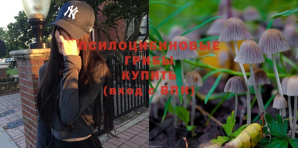 бутират Елизово