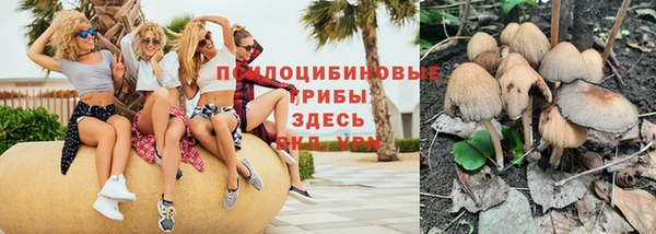 не бодяженный Ельня