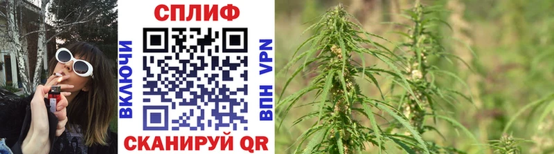 blacksprut рабочий сайт  Щёлково  Канабис OG Kush 